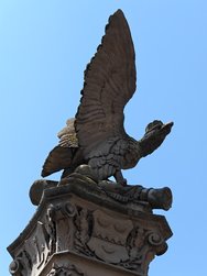 IMG_20240623_140514.jpg