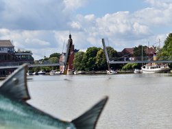 IMG_20240623_130440.jpg