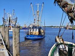 IMG_20240624_163105.jpg