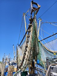 IMG_20240624_163050.jpg