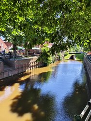 IMG_20240624_162753.jpg