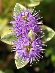 IMG_20240624_113917.jpg