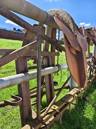 IMG_20240624_113517.jpg