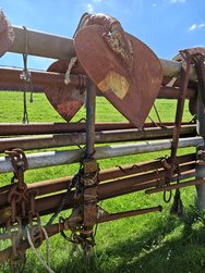IMG_20240624_113504.jpg