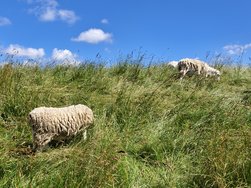 IMG_20240624_112631.jpg