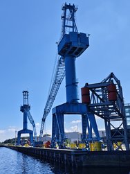 IMG_20240624_103216.jpg