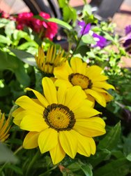 IMG_20240624_095630.jpg