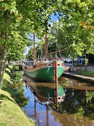 IMG_20240624_090402.jpg
