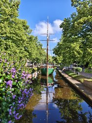IMG_20240624_090331.jpg