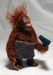 tenor-3240617898.gif