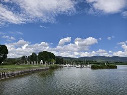 IMG_20240625_133731.jpg