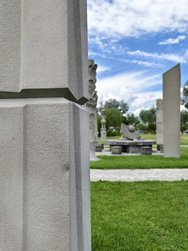 IMG_20240625_134450.jpg