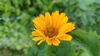 IMG_20240625_200555.jpg
