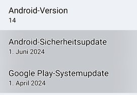 Google Play-Systemupdate.jpg