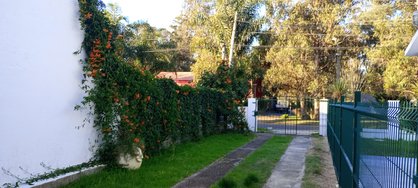 IMG_20240626_163907.jpg