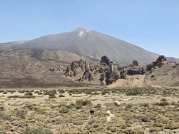 20240622_122707.jpg