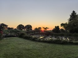 IMG_20240626_051407.jpg
