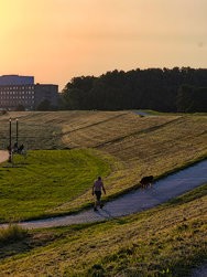 IMG_20240626_205758076_HDR.jpg