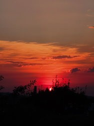 20240627_212205393.jpg