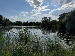 IMG_1367.jpeg