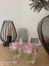 IMG_20240628_163653.jpg