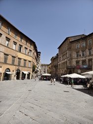 IMG_20240629_112204.jpg