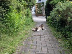 PXL_20240623_161617117.jpg