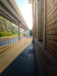 IMG_20240627_073023.jpg