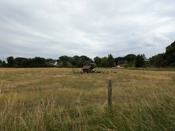 PXL_20240630_135859190.jpg