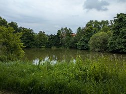 PXL_20240630_154337245.jpg