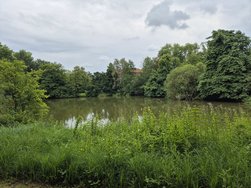 20240630_174356.jpg
