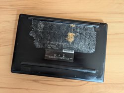 PXL_20240701_114547392.jpg