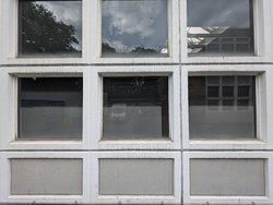 PXL_20240701_151949064.jpg