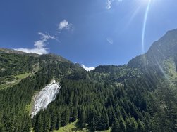IMG_6342.jpeg