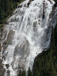 IMG_6341.jpeg