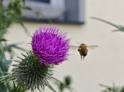 IMG_20240629_153423_1.jpg