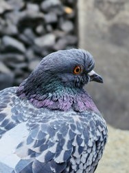 20240630_172311.jpg
