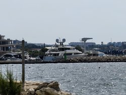 IMG_20240630_101021.jpg