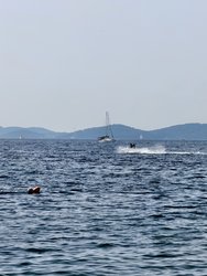 IMG_20240630_095641.jpg