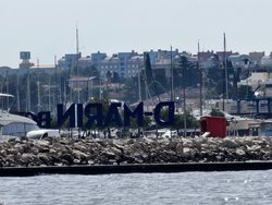 IMG_20240630_095658.jpg