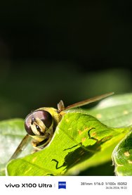 IMG_20240624_183201_074540.jpg