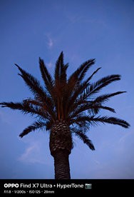 sukashi_20240630_202942.jpg