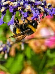 IMG_20240703_123731.jpg