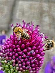 IMG_20240703_123115.jpg