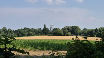 20240627_181331.jpg