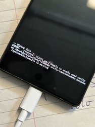IMG_2926.jpeg