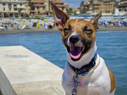 IMG_20240704_142411.jpg