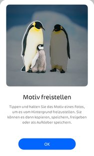 Motiv freistellen.jpg