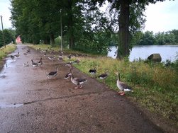 IMG_20240704_184454.jpg