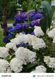 IMG_20240704_203738.jpg